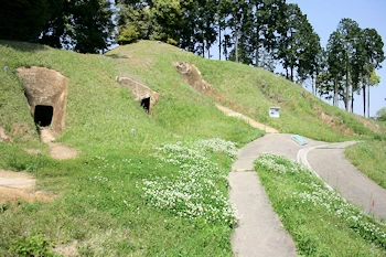 古月横穴の画像