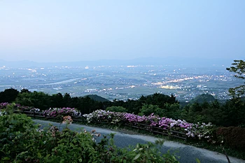 つつじ公園の画像