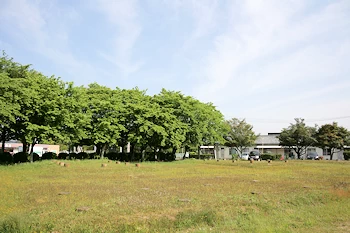 小郡官衛遺跡公園の画像