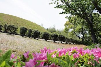 七夕池古墳の画像