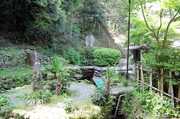 清水湧水の画像