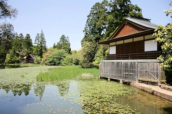 池の山星のふるさと公園の画像