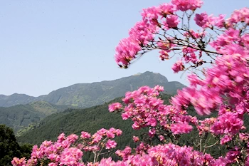 石川植物園の画像