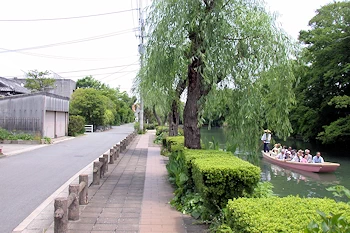 水辺の散歩道の画像