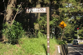 キャンプ場ありの風景