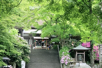 大興善寺の風景