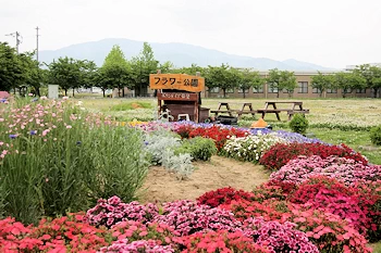 まちかど花壇の風景