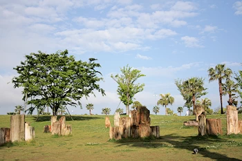 森園公園の画像