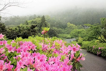 白岳国民休養地の画像