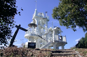 テンフォーチュンの画像