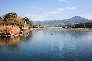 浮島周辺水辺公園の画像