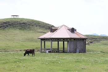 池の窪園地の画像