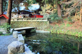 白川水源の画像