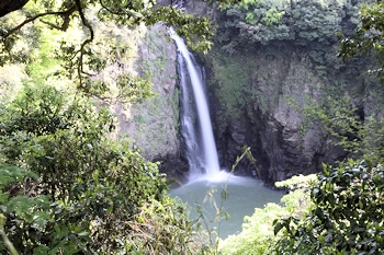 数鹿流ヶ滝の画像