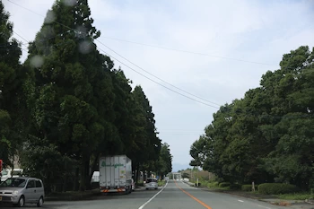 大津街道の画像