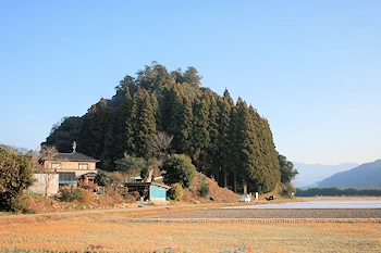 雨宮神社の画像