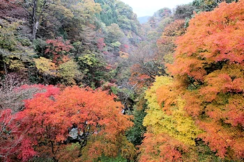 あまがたに渓谷の画像
