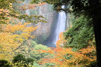 震動の滝の画像