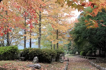 もみじの丘の画像