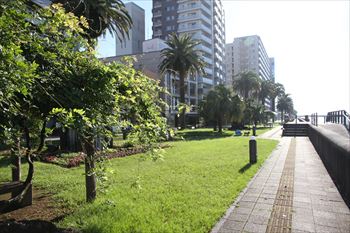 宮崎市橘公園線の風景