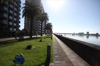 宮崎市橘公園線の風景