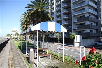 宮崎市橘公園線の風景