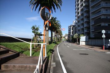 宮崎市橘公園線の風景