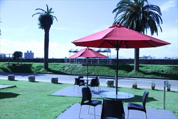 宮崎市橘公園線の風景