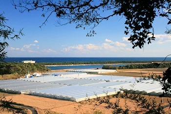 観音山公園の画像
