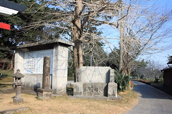 唐仁古墳群の風景