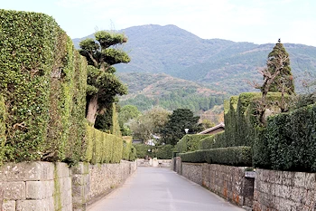 武家屋敷通りの風景