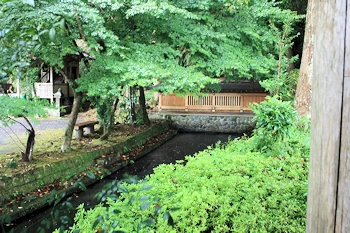 清水の湧水の風景