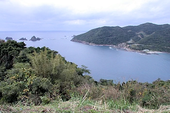 泊浦の風景