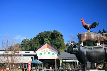 道の駅おおすみ弥五郎伝説の里の風景