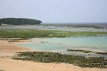 ワンジョ海水浴場の風景