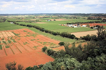 日の丸山展望台の画像