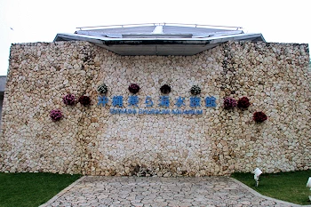 美ら海水族館の画像