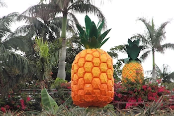 ナゴパイナップルパークの画像