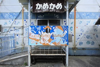 かめかめの画像