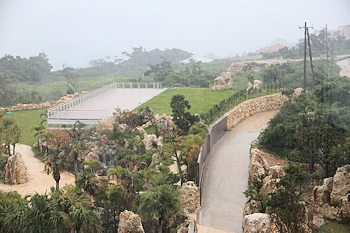 古宇利オーシャンタワーの画像