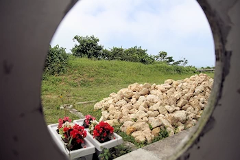 がんじゅう駅の画像