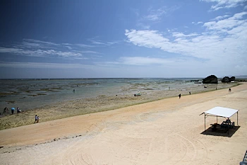 新原ビーチの画像