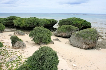 三ツ瀬公園の画像