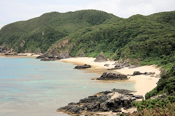 鯨海峡アイランド展望台の画像