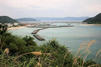 天城展望台の画像