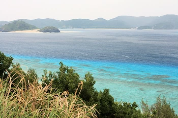 ニシハマビーチの画像