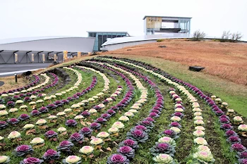 がまだすドームの画像