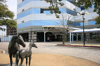 中京競馬場の画像