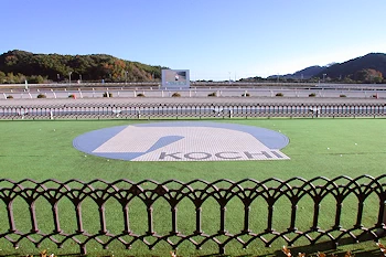 高知競馬場の画像