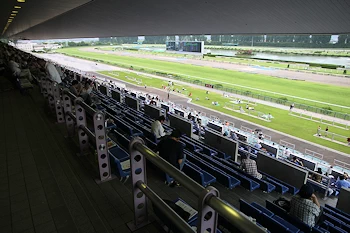 京都競馬場の画像